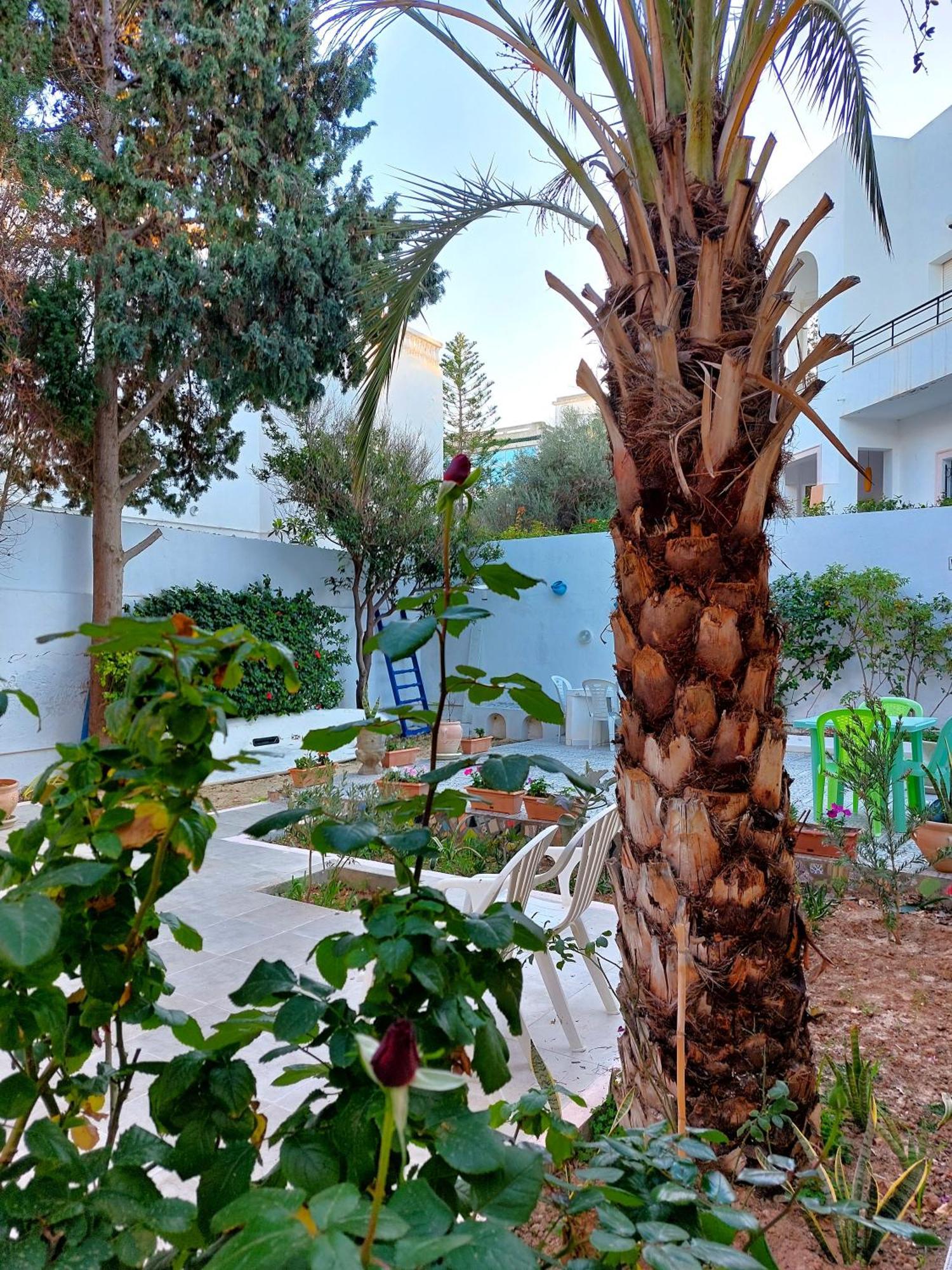 (סוס (עיר Villa Azaiiza מראה חיצוני תמונה