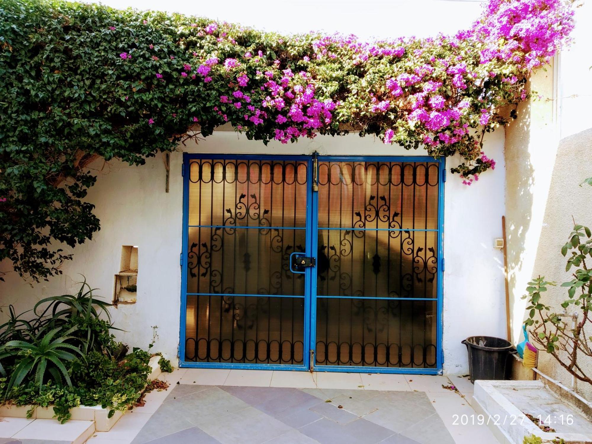 (סוס (עיר Villa Azaiiza מראה חיצוני תמונה