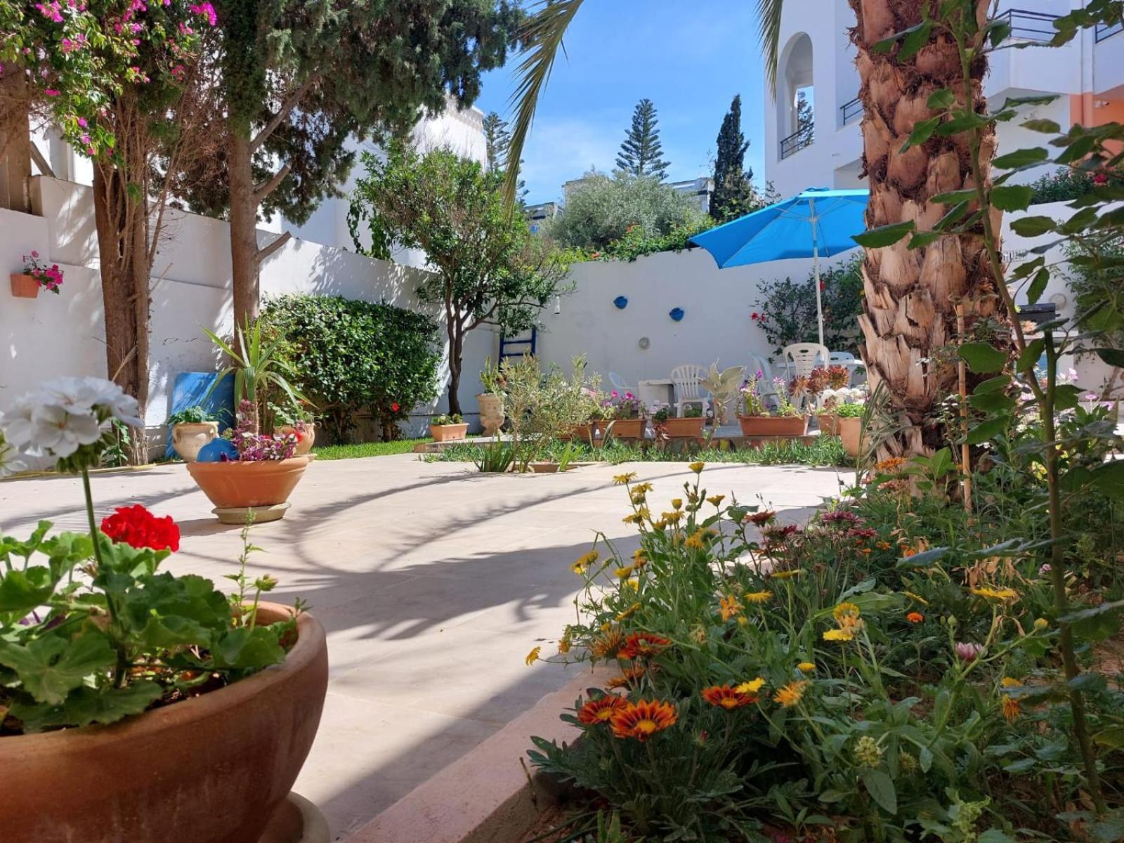 (סוס (עיר Villa Azaiiza מראה חיצוני תמונה