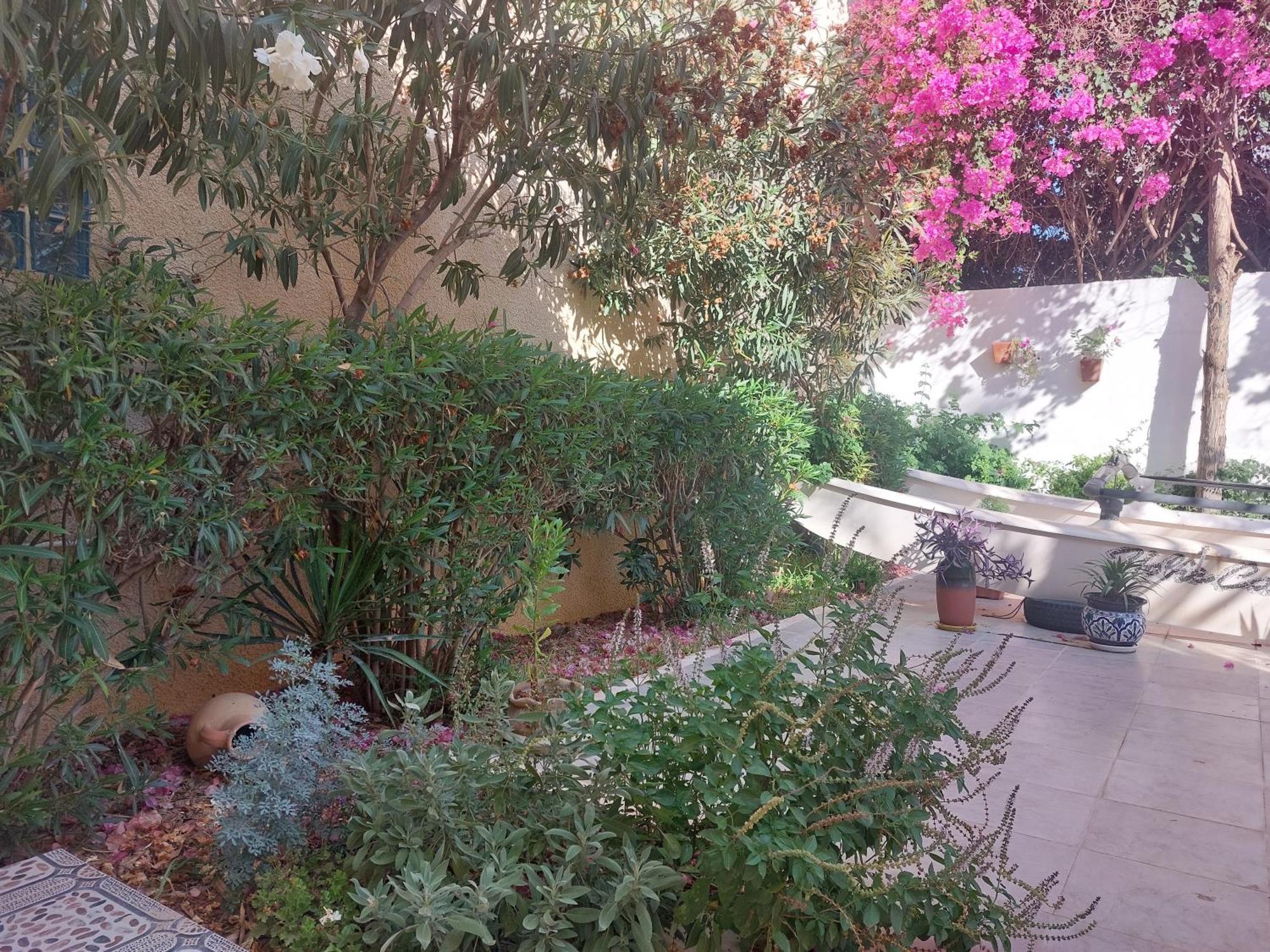 (סוס (עיר Villa Azaiiza מראה חיצוני תמונה