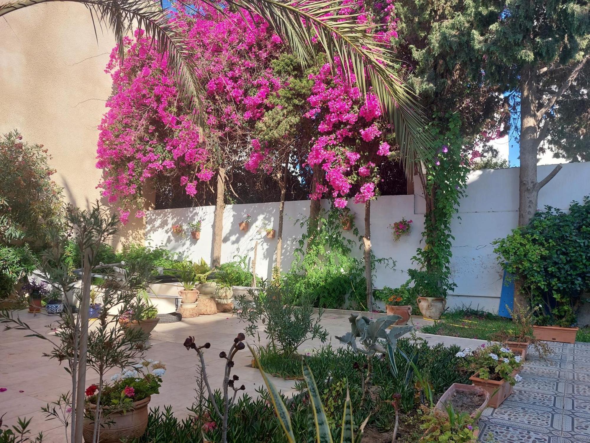 (סוס (עיר Villa Azaiiza מראה חיצוני תמונה