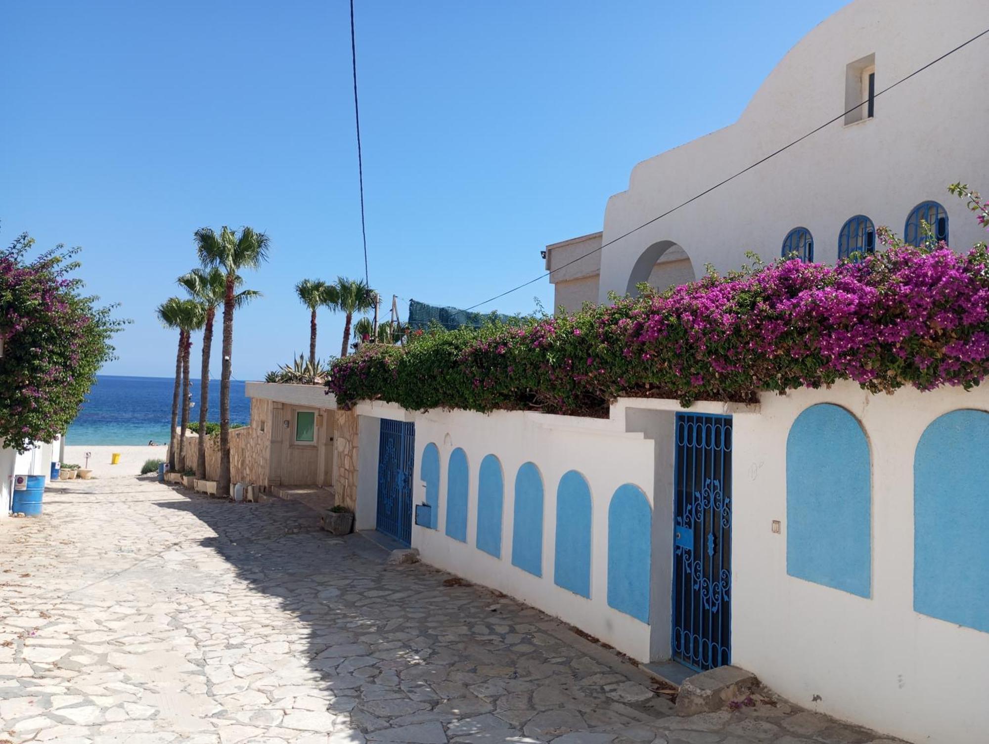 (סוס (עיר Villa Azaiiza מראה חיצוני תמונה