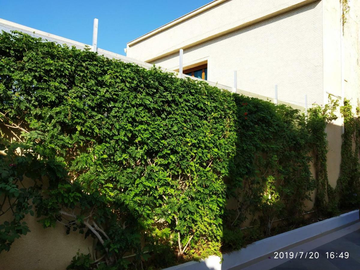 (סוס (עיר Villa Azaiiza מראה חיצוני תמונה